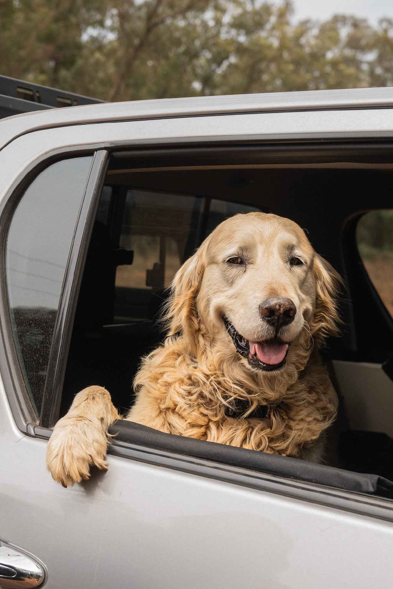 Doggy Car Door Protector