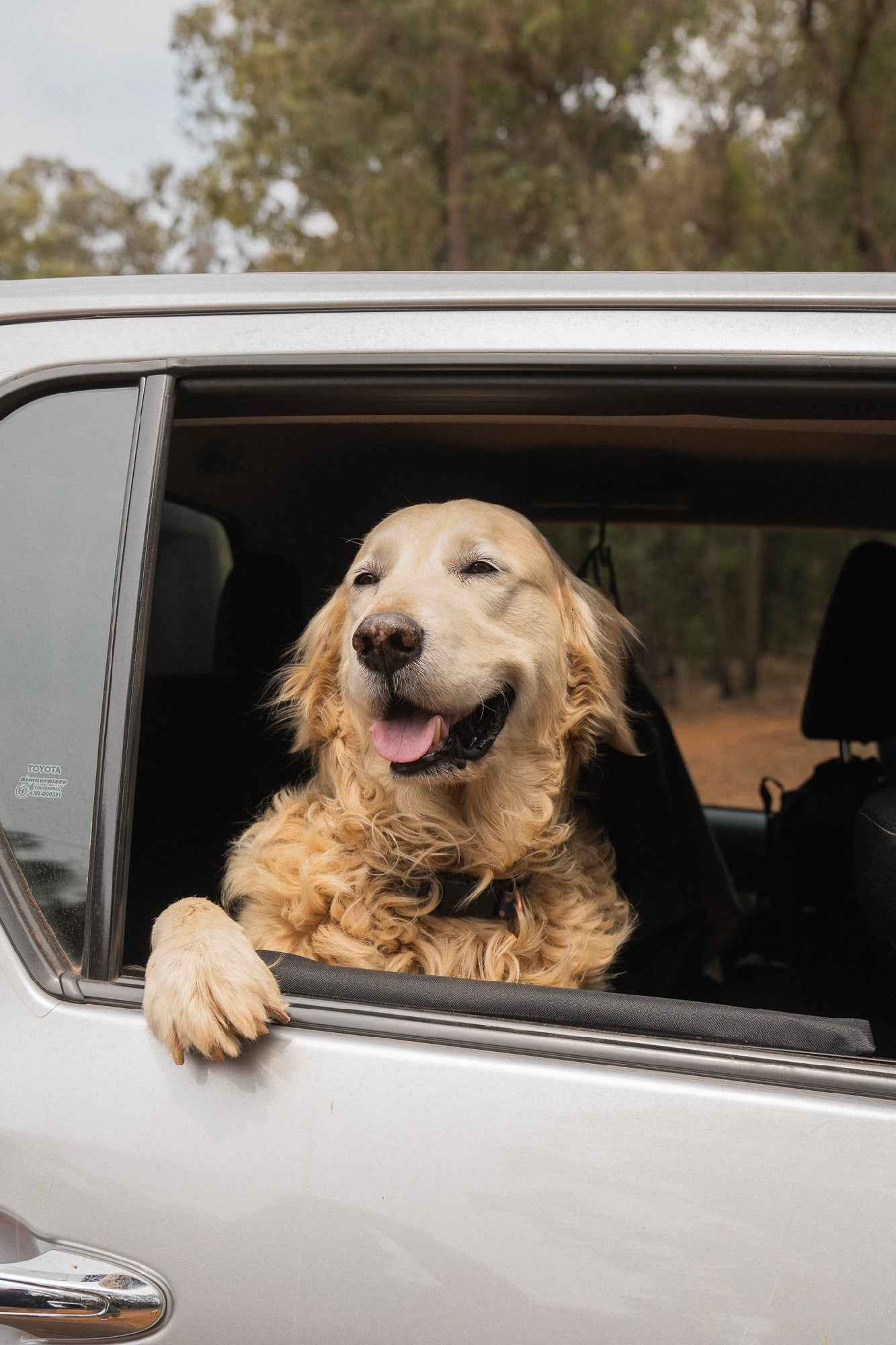 Doggy Car Door Protector